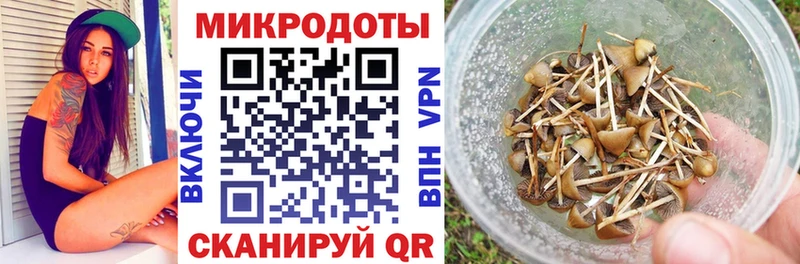 магазин продажи наркотиков  Бавлы  Псилоцибиновые грибы Psilocybe 
